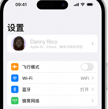 公安appleID维修服务iPhone设置中Apple ID显示为灰色无法使用 