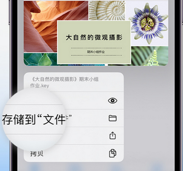 公安apple维修中心分享iPhone文件应用中存储和找到下载文件