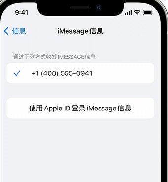 公安apple维修iPhone上无法正常发送iMessage信息 