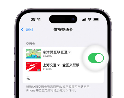 公安apple维修点分享iPhone上更换Apple Pay快捷交通卡手绘卡面 