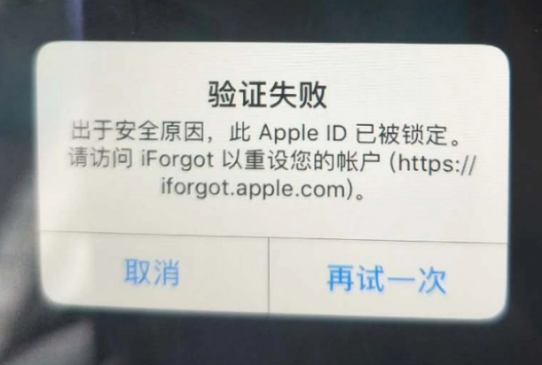 公安iPhone维修分享iPhone上正常登录或使用AppleID怎么办 