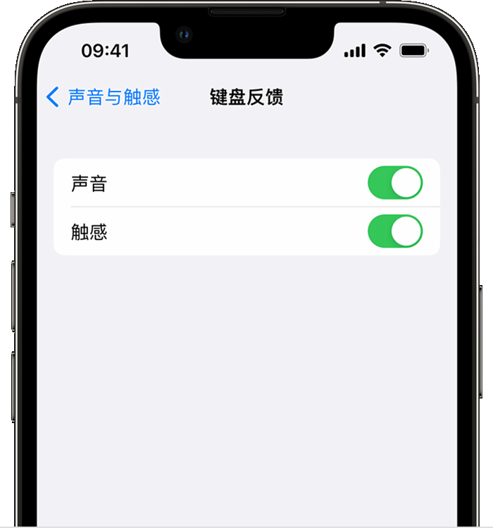 公安苹果14维修店分享如何在 iPhone 14 机型中使用触感键盘 