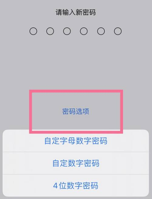 公安苹果14维修分享iPhone 14plus设置密码的方法 