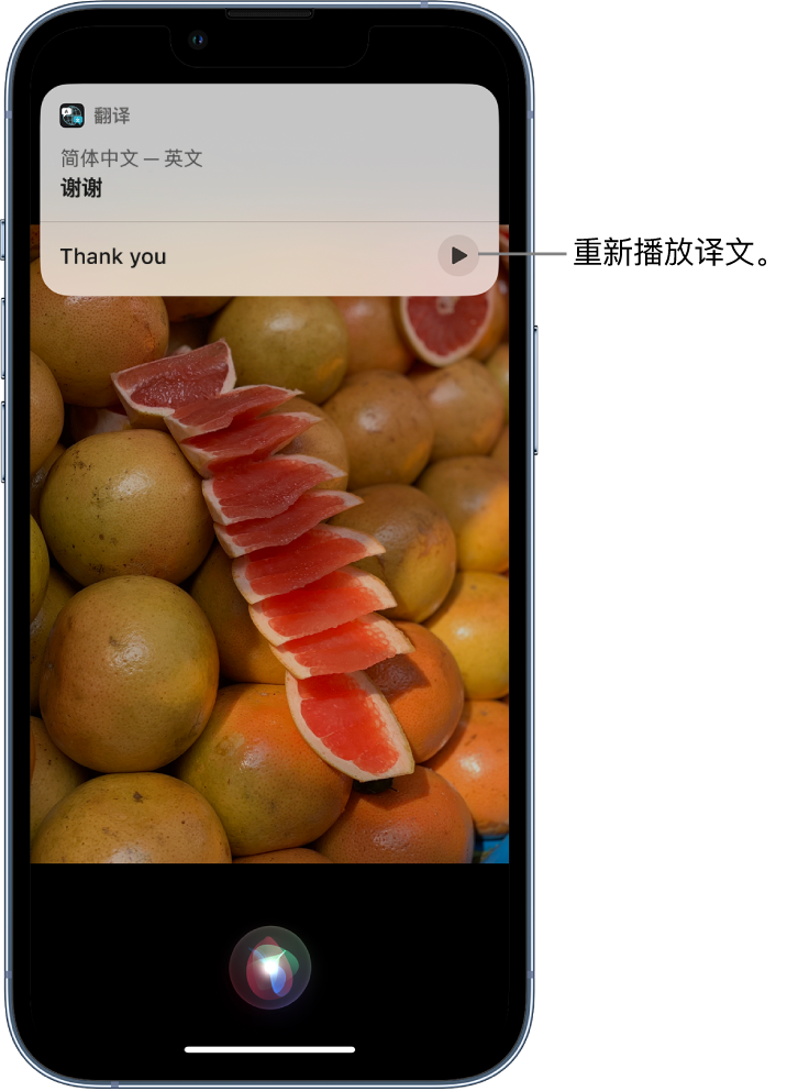 公安苹果14维修分享 iPhone 14 机型中使用 Siri：了解 Siri 能帮你做什么 