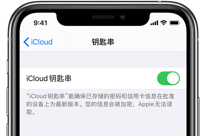 公安苹果手机维修分享在 iPhone 上开启 iCloud 钥匙串之后会储存哪些信息 